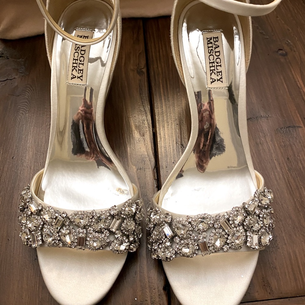 Badgley Mischka shoes, size 8.5